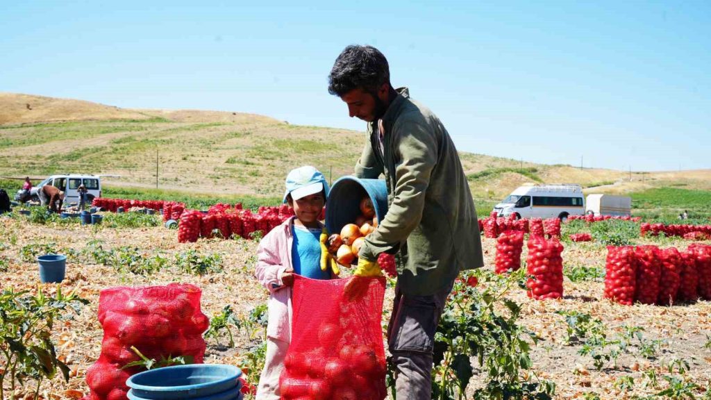 Polatlı