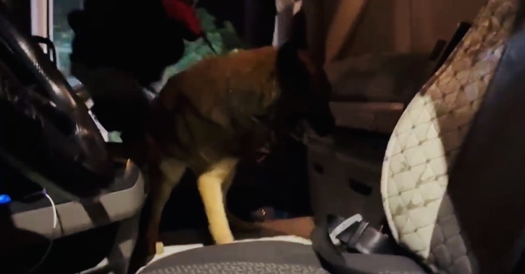 Tırda buzdolabındaki uyuşturucuyu 